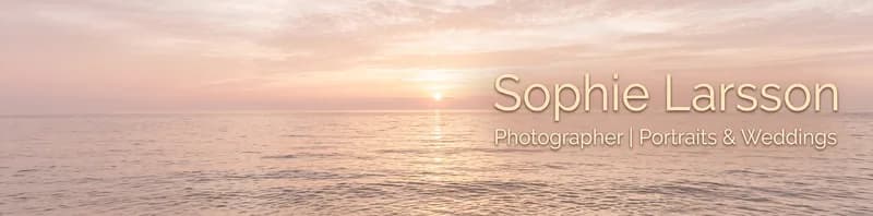 LinkedIn banner for Sophie Larsson, Photographer, over a calm ocean horizon in blush and gold