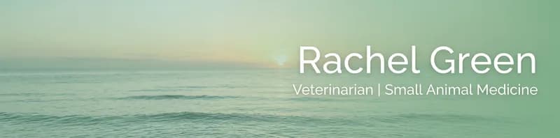 LinkedIn banner for Rachel Green, Veterinarian, over a calm soft green sea